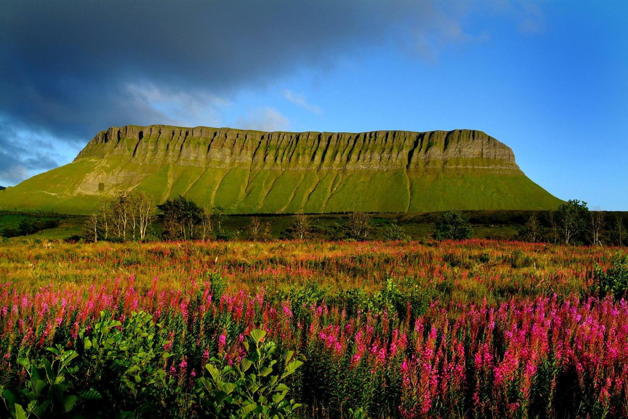 Central Sligo Townhouse Villa Exteriör bild